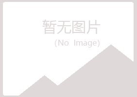 青海夏岚能源有限公司